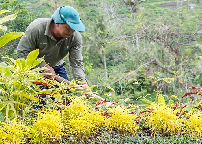 Wapa Di Ume リゾート 5*