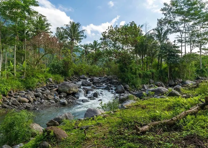 Wapa Di Ume Resort Sidemen (Bali)