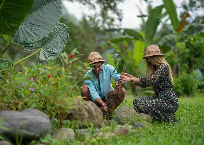 Wapa Di Ume Sidemen (Bali)